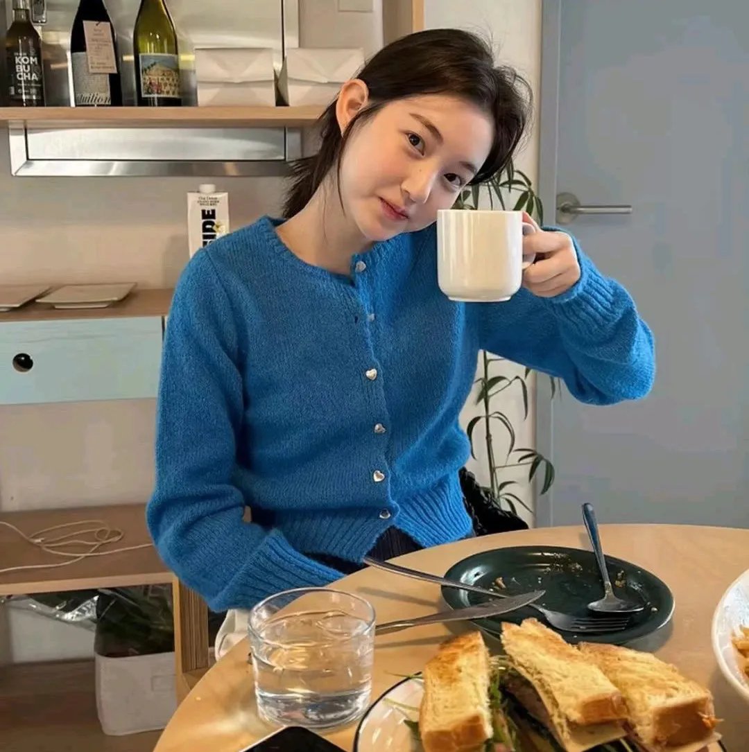 翼龙